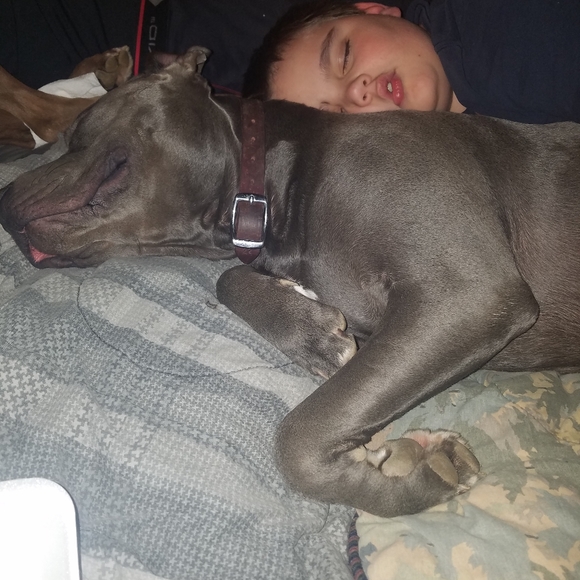 Meet your Posher, Brittany - Picture 3 of 9